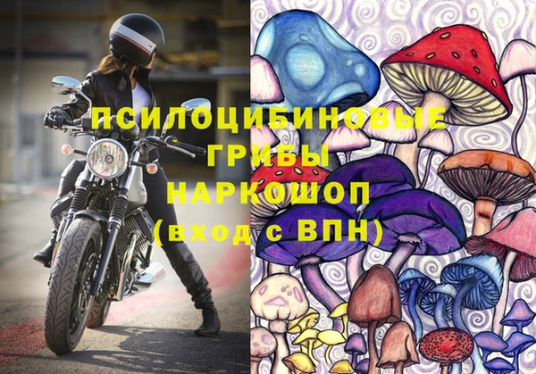 таблы Алзамай