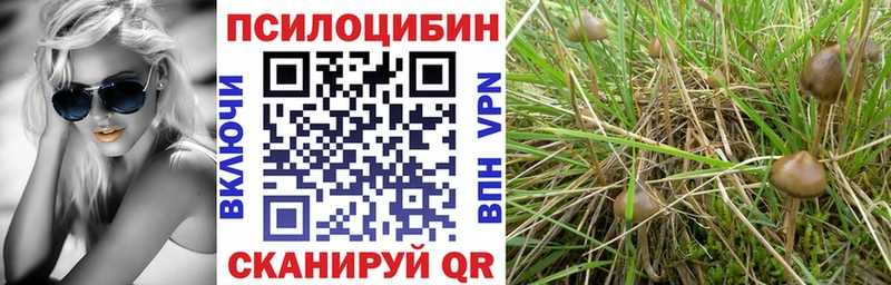 Галлюциногенные грибы ЛСД  где найти   Новочеркасск 
