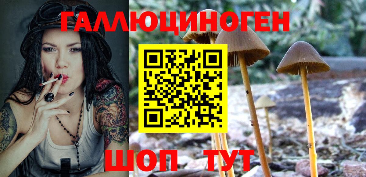 Новочеркасск  Галлюциногенные грибы ЛСД  Вход с VPN 
