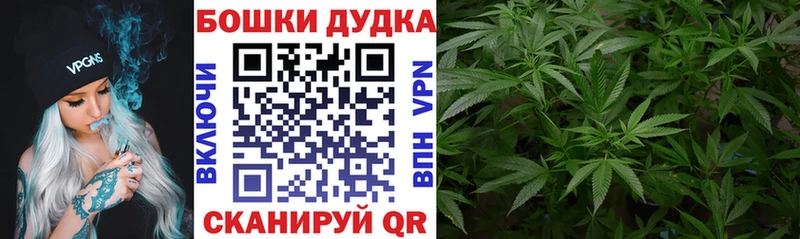 Каннабис ГИДРОПОН  Новочеркасск 